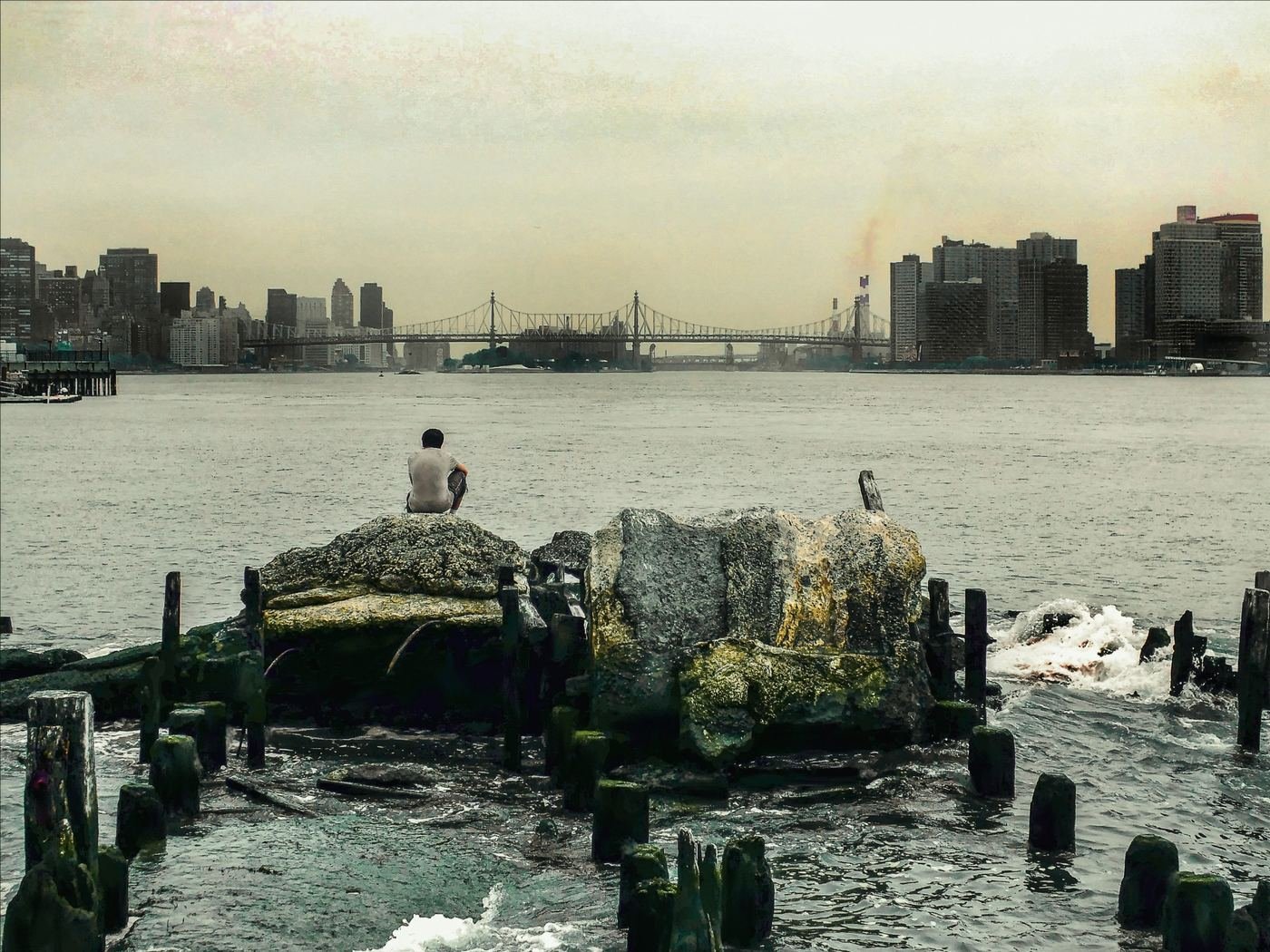 Places / Territories — New York — 2016